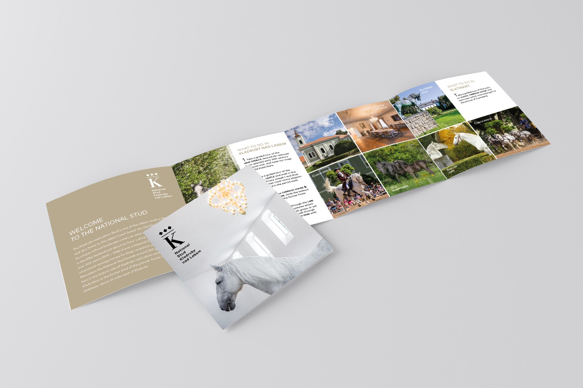 05-square-4-fold-brochure-mockup-preview_kladruby