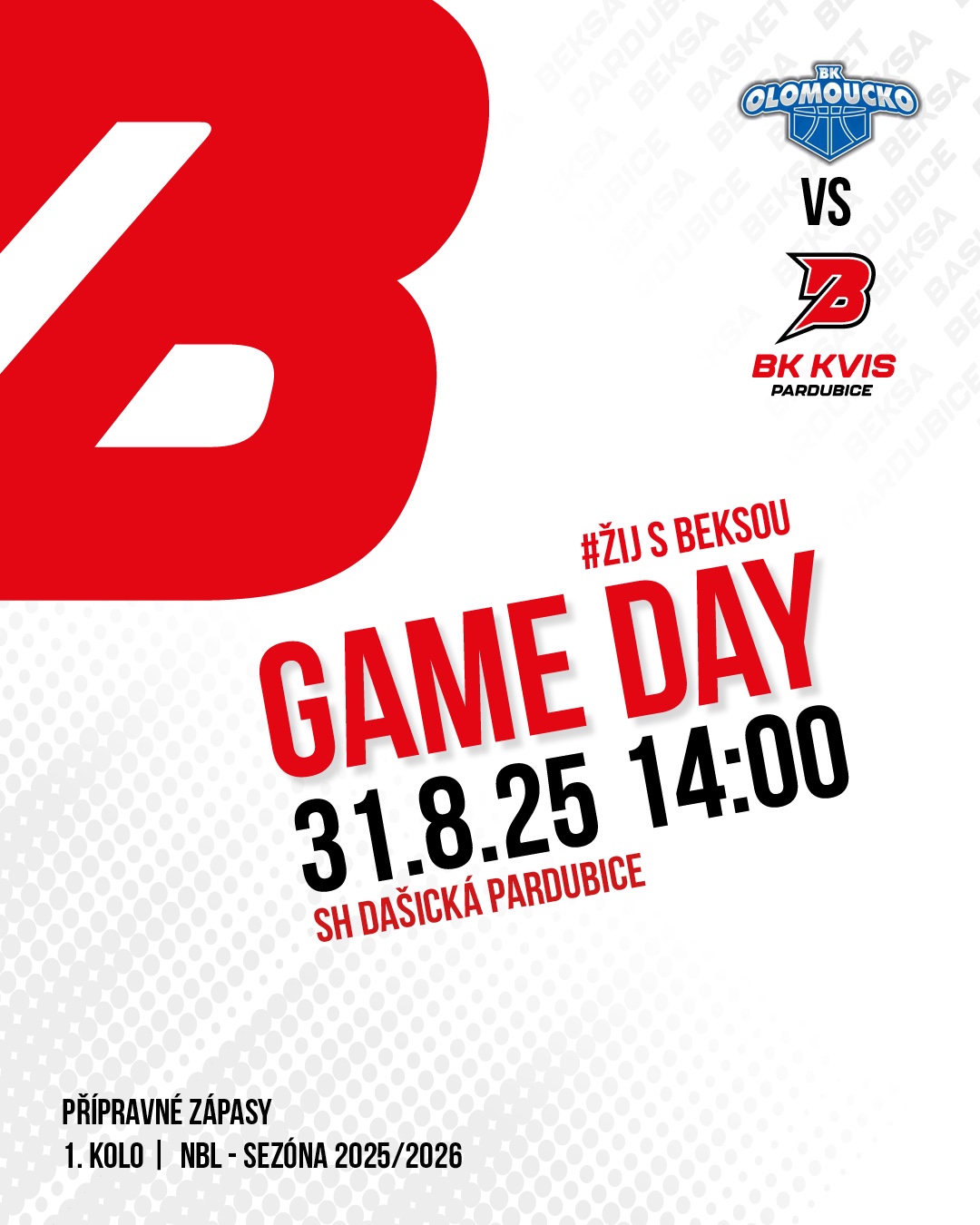 2final_PRISPEVEK BASKET IG4