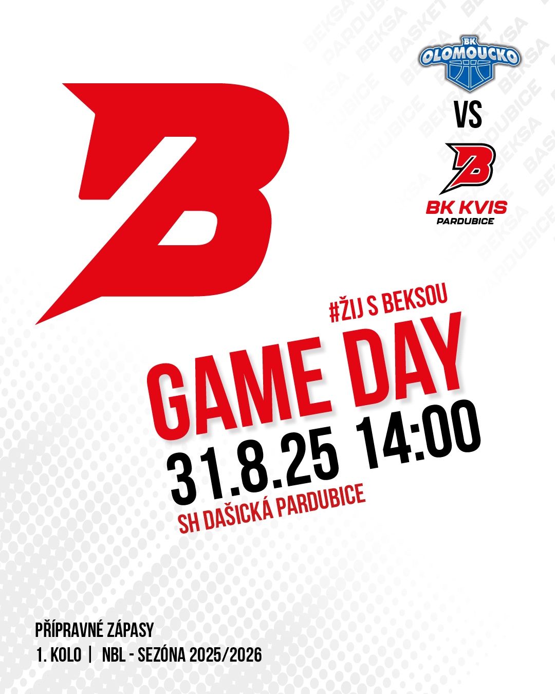 2final_PRISPEVEK BASKET IG5