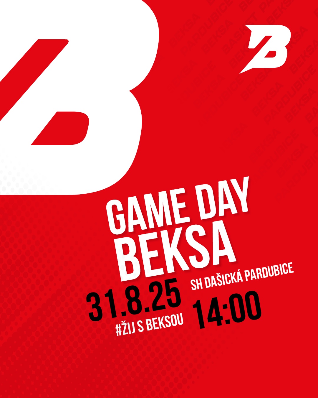 2final_PRISPEVEK BASKET IG9