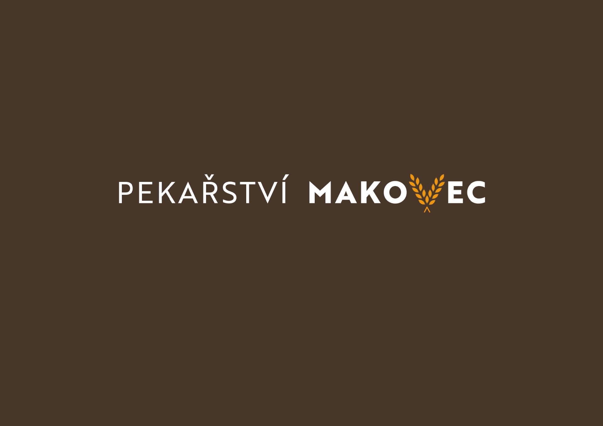 Makovec_vizualni styl_navrh_LH_Stránka_03_Obraz_0001